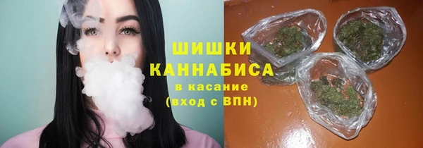 spice Аркадак