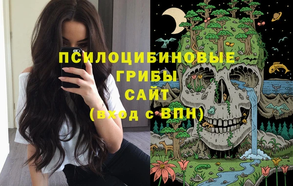 стафф Арсеньев