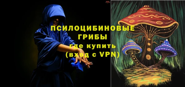 стафф Арсеньев